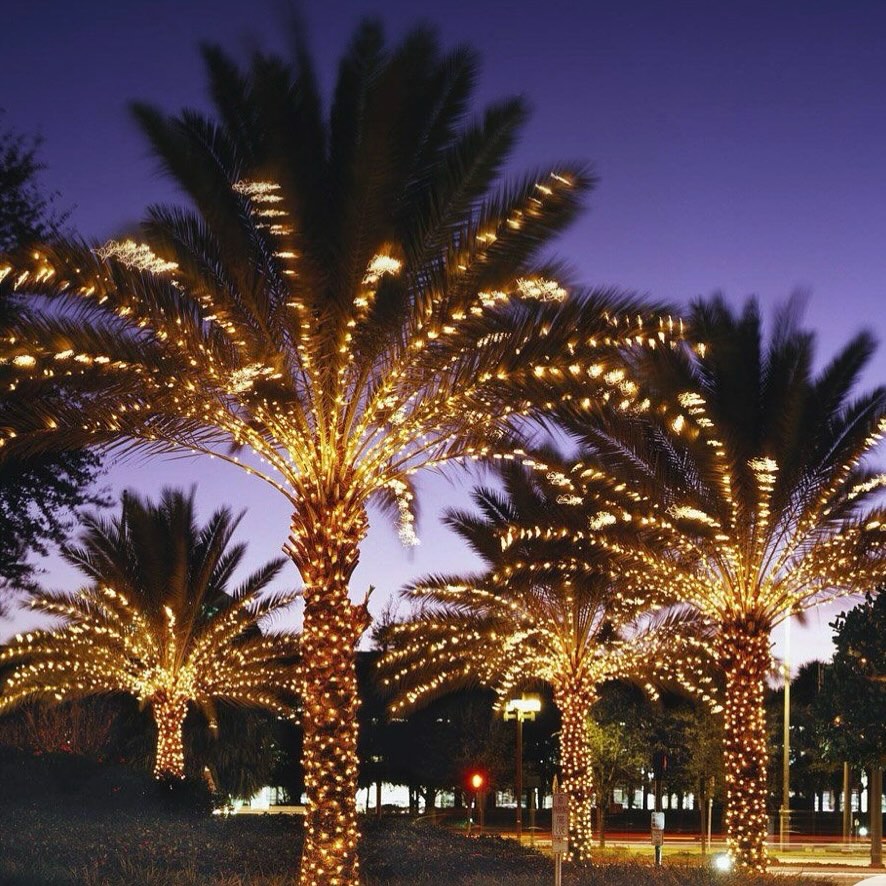 Exterior Lighting Installation Crew Serving Lighthouse Point Properties