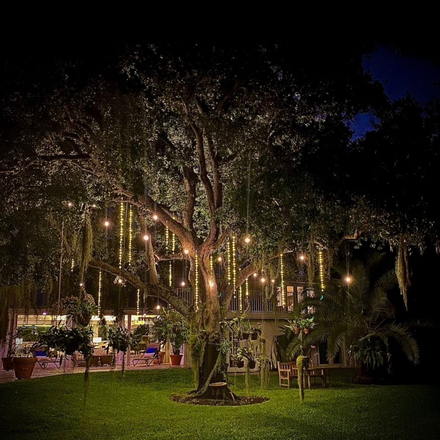 Custom Outdoor Holiday Lighting Design In Lighthouse Point Properties